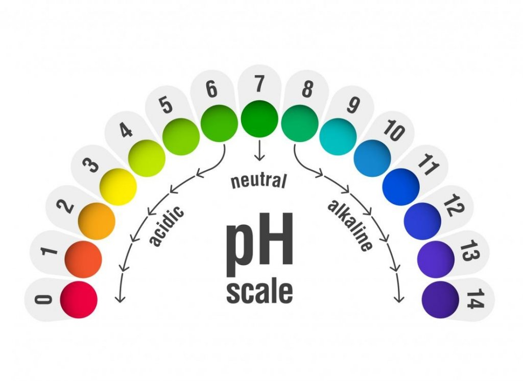 Может ли уровень pH во влагалище действительно снизиться? | UMS Beauty
